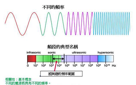 水位與聲音頻率的關係 綠色底配色